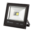 Прожектор LED TS030 30W 6000K Black (HAIGER)