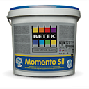 Краска B.M.SIL RG2 15 л