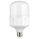 Лампа LED T1S 30W 100-265V 6500K E27