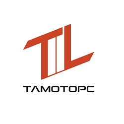 Логотип ТЛМОТОРС