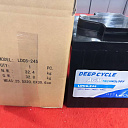 Полутяговый (Semi-Traction) аккумулятор AGM/GEL 6 V 245 от бренда LEOCH