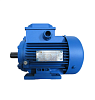 Электродвигатель АИР 100 L4 4/1500 2081