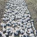 Нанесение разметки под ключ