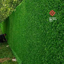 Eco Zabor Yashil dekorativ devor Зелёный забор Оптом