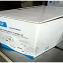 Сетевой кабель ЮТП-5 категории(Китай)