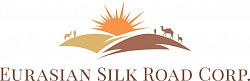 Логотип Eurasian Silk Road OOO