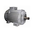 Электродвигатель 4MTH 411-6 22/1000 IM1001