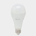 Лампа STD LED A65-19W-860-E27 груша, 160Вт, 1520Лм, холодный  ЭРА