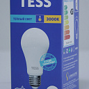 Лампа светодиодная A60 15 Вт "TESS" E27 6500K