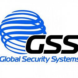 Логотип  Global Security Systems