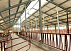 Производство быстровозводимых металлических зданий