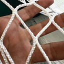 Спорт сектки