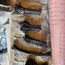 Набивка сальниковая