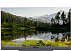 Телевизор Artel 65-дюмовый 65AU20K Ultra HD 4K Android TV