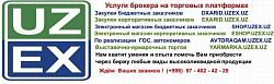 Логотип Inter Exchange
