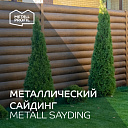 Металлосайдинг RAL 9006