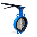 Затвор чугунный межфланцевый Ду50 Ру16