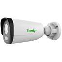 Камера Tiandy TC-C32GN Spec:I5/E/Y/C/2.8mm/V4.2
