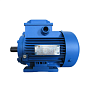 Электродвигатель АИР 80 В2 2,2/3000 1081