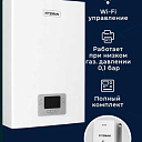 Двухконтурный газовый котел FITZMAN 40кВт