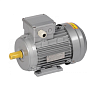 Электродвигатель АИР 90L2У2 3/3000 1081 