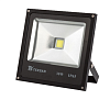 Прожектор LED TS030 30W 6000K Black (HAIGER)