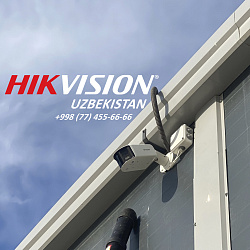 Логотип Никита Емельянов