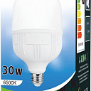 Лампа светодиодная 30 Вт "TESS" E27 6500K