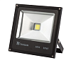 Прожектор LED TS030 30W 6000K Black (HAIGER) 224-15328