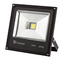 Прожектор LED TS030 30W 6000K Black (HAIGER) 224-15328