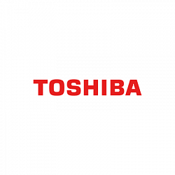 Логотип Toshiba Climat Solutions