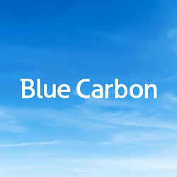 Логотип Blue Carbon
